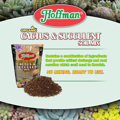 Hoffman mezcla en maceta con cactus promoviendo crecimiento saludable