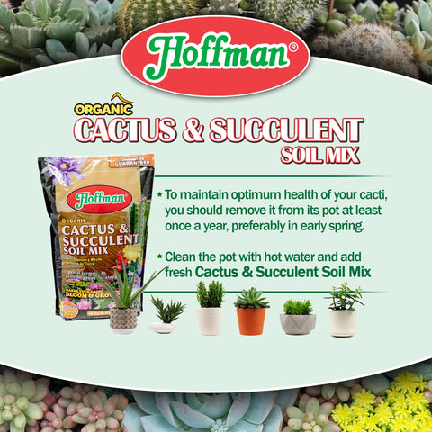 Hoffman etiqueta con detalles del producto y beneficios para cactus y suculentas