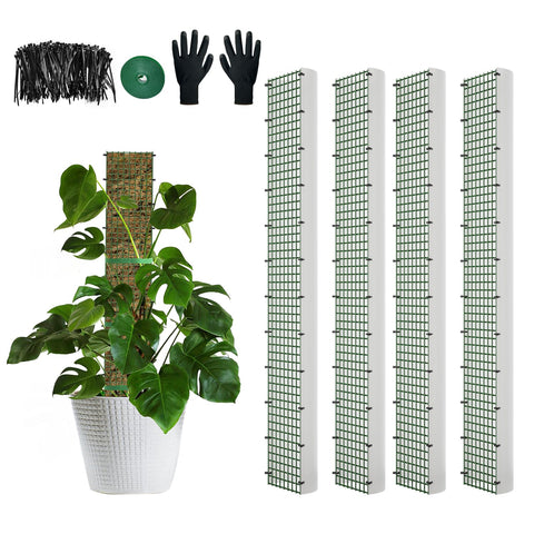 HOLANHING poste en D vista frontal, soporte firme para plantas trepadoras