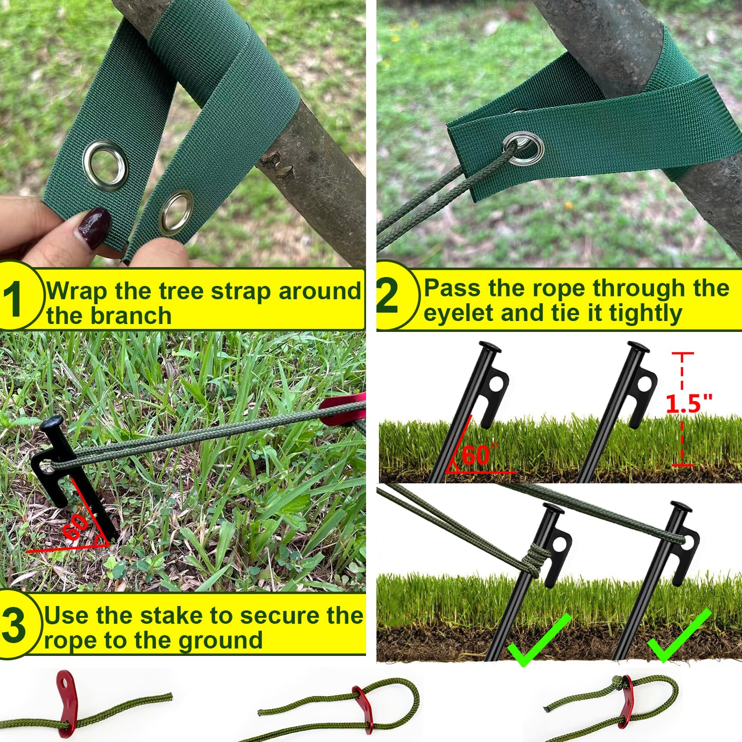 HOLANHING estacas y correas sujetando árbol joven contra viento