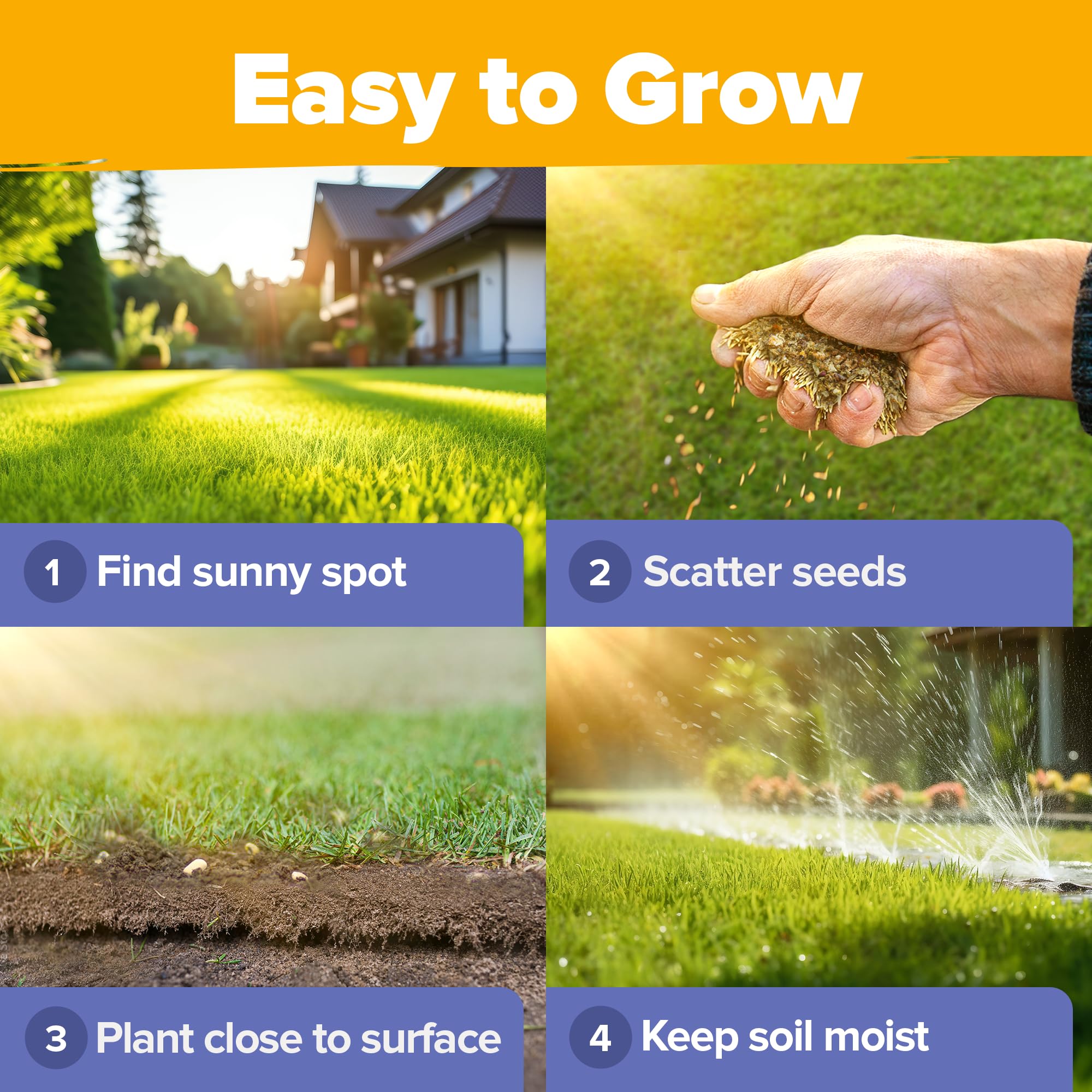 HOME GROWN etiqueta con guía de cultivo, facilita siembra y cuidado exitoso