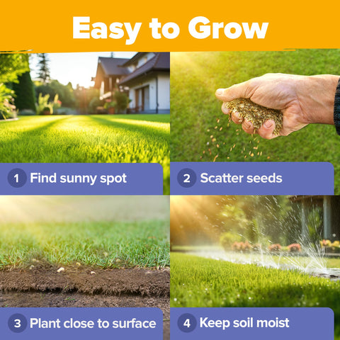 HOME GROWN etiqueta con guía de cultivo, facilita siembra y cuidado exitoso