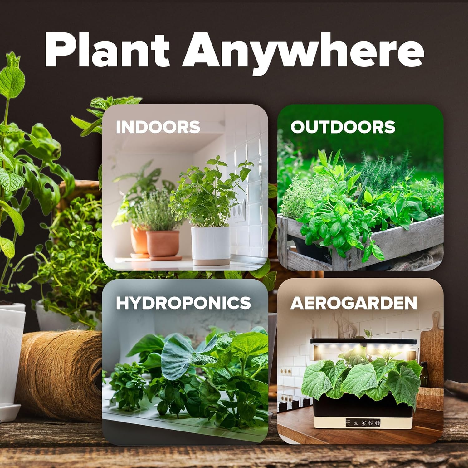 HOME GROWN huerto otoñal con cosechas demostrando rendimiento constante