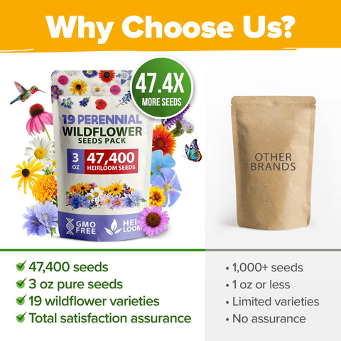 HOME GROWN semillas sembradas en macetas en balcón, solución para espacios pequeños