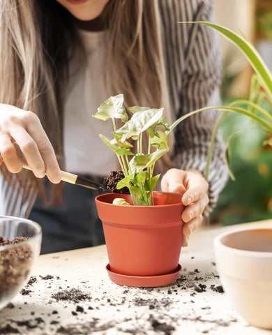 homenote detalle de múltiples orificios de drenaje que previenen encharcamientos