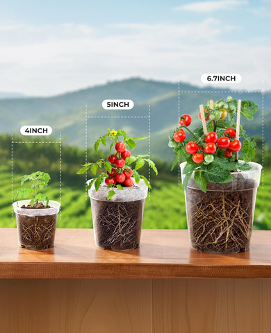 homenote maceta en uso con plántula facilita control de germinación