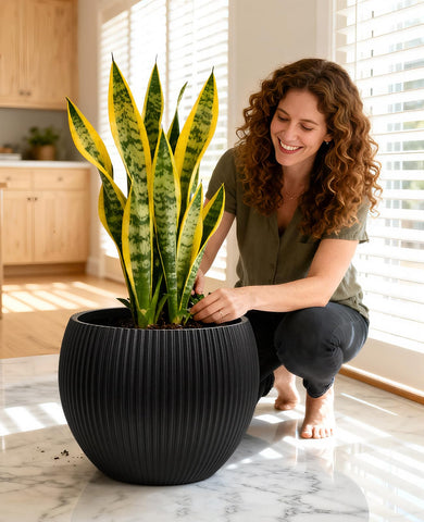 homenote maceta en uso con monstera demostrando capacidad de cultivo