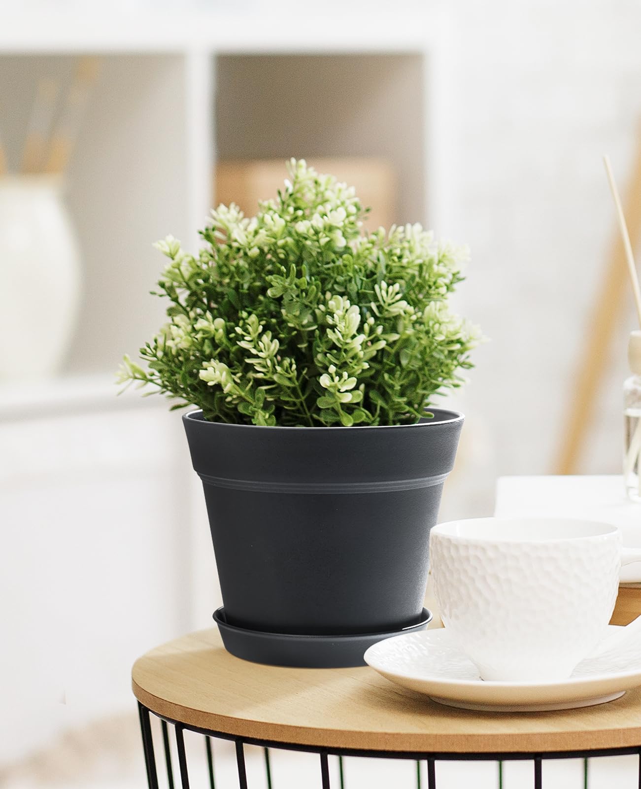 homenote maceta en uso con planta real para apreciación estética