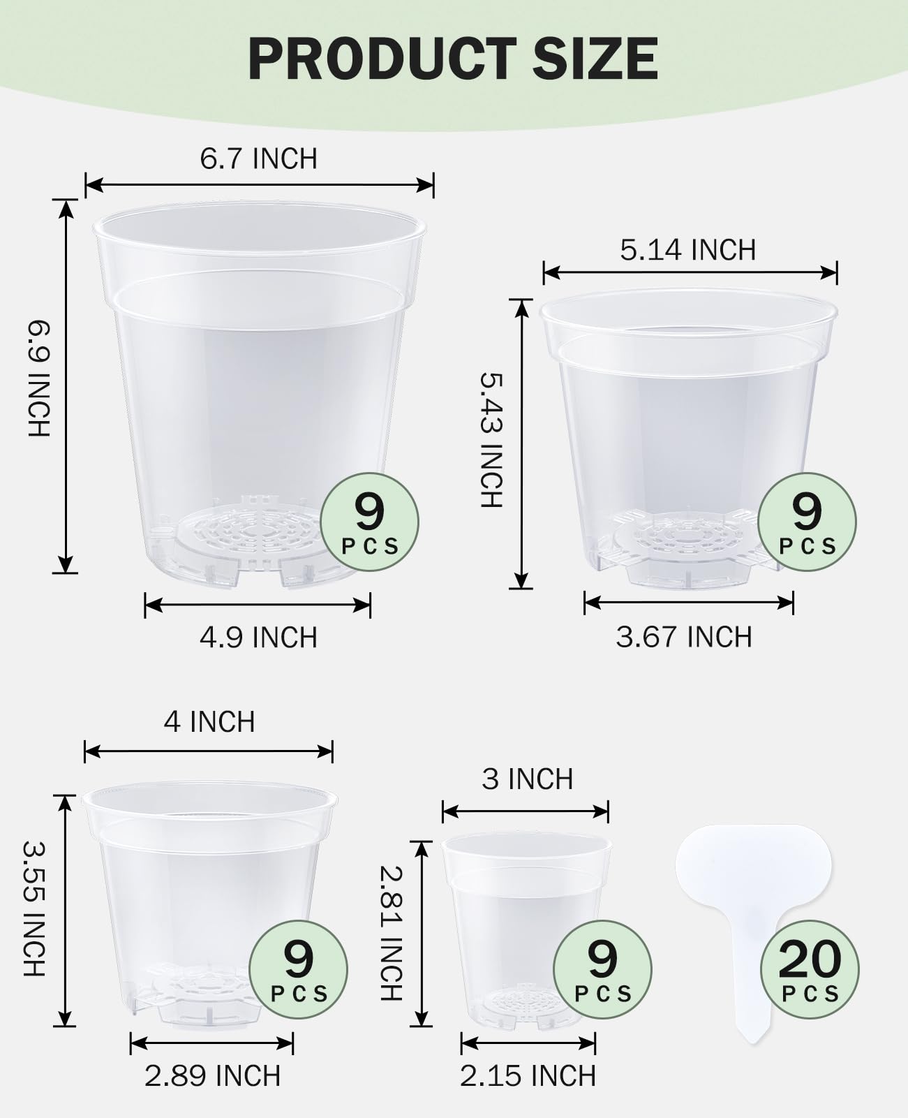 homenote maceta transparente con suculenta en interior que mejora la observación