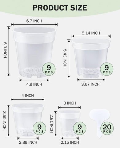 homenote maceta transparente con suculenta en interior que mejora la observación