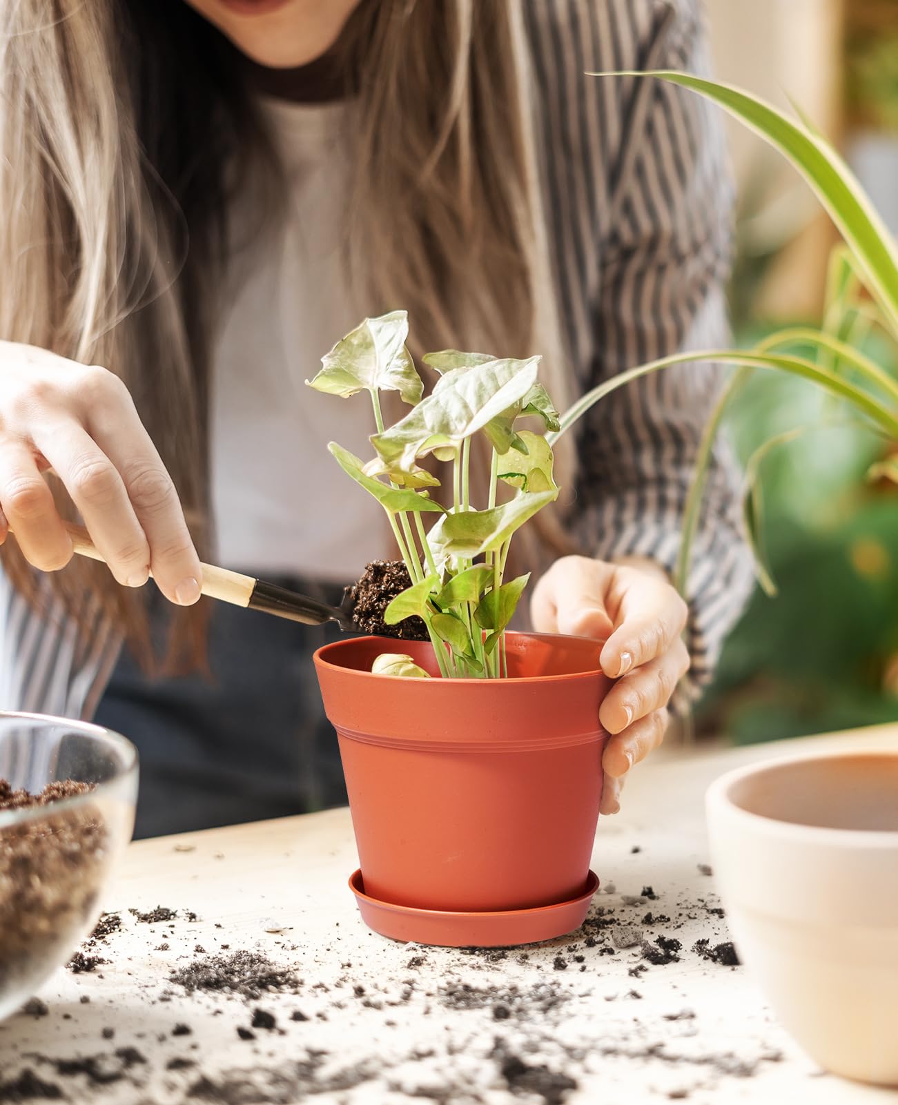 homenote maceta colocada en alféizar, ideal para plantas de interior