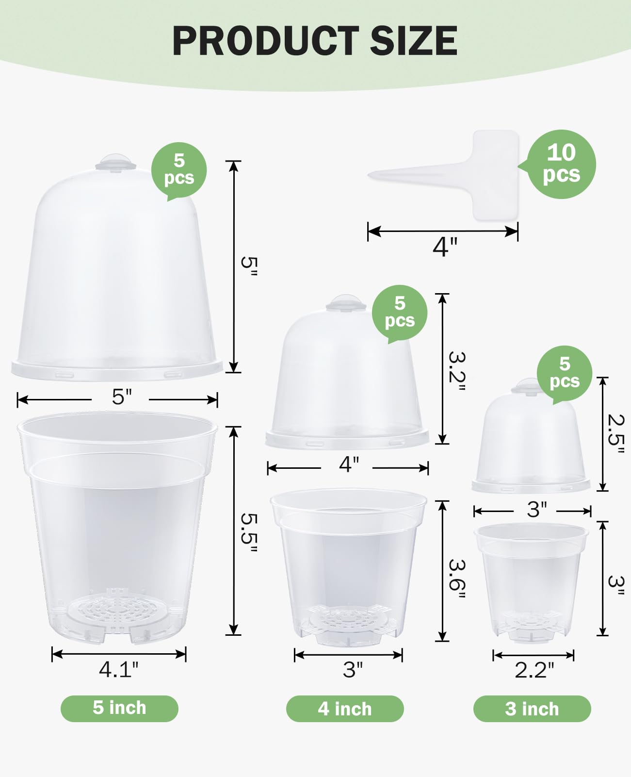 homenote maceta con esqueje enraizando, ideal para propagación rápida