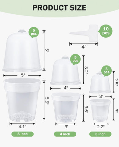 homenote maceta con esqueje enraizando, ideal para propagación rápida
