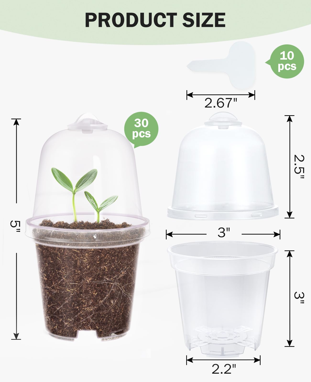 homenote maceta en uso con semillas germinando y control de humedad