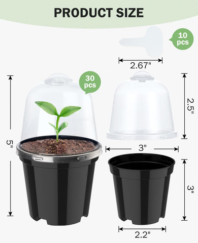 homenote maceta transparente con raíces visibles, control visual del crecimiento