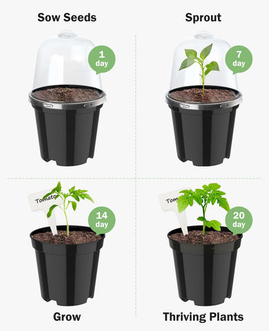 homenote set de macetas en mesa de cultivo interior listo para trasplante