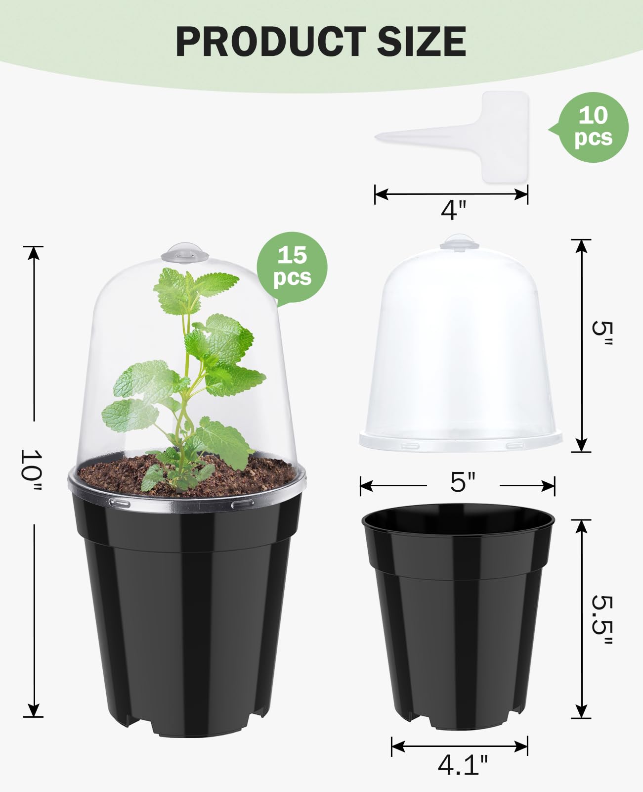 homenote grupo de macetas en uso con plántulas jóvenes en fase de germinación