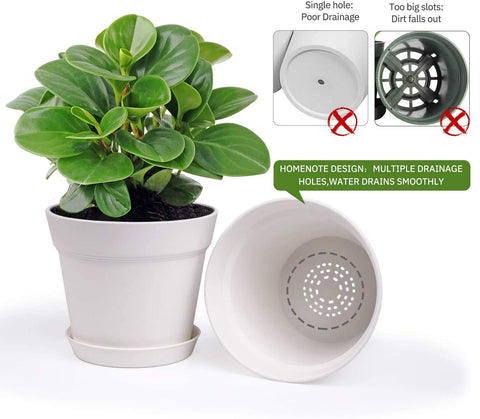 homenote plato recogedor con agua demostrando protección de superficies