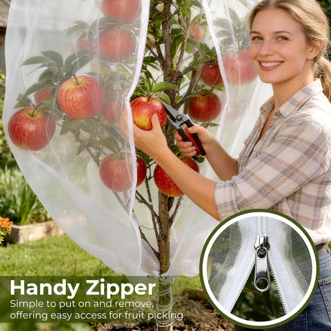 Homoda malla colocada en árbol frutal, evita picoteo de aves
