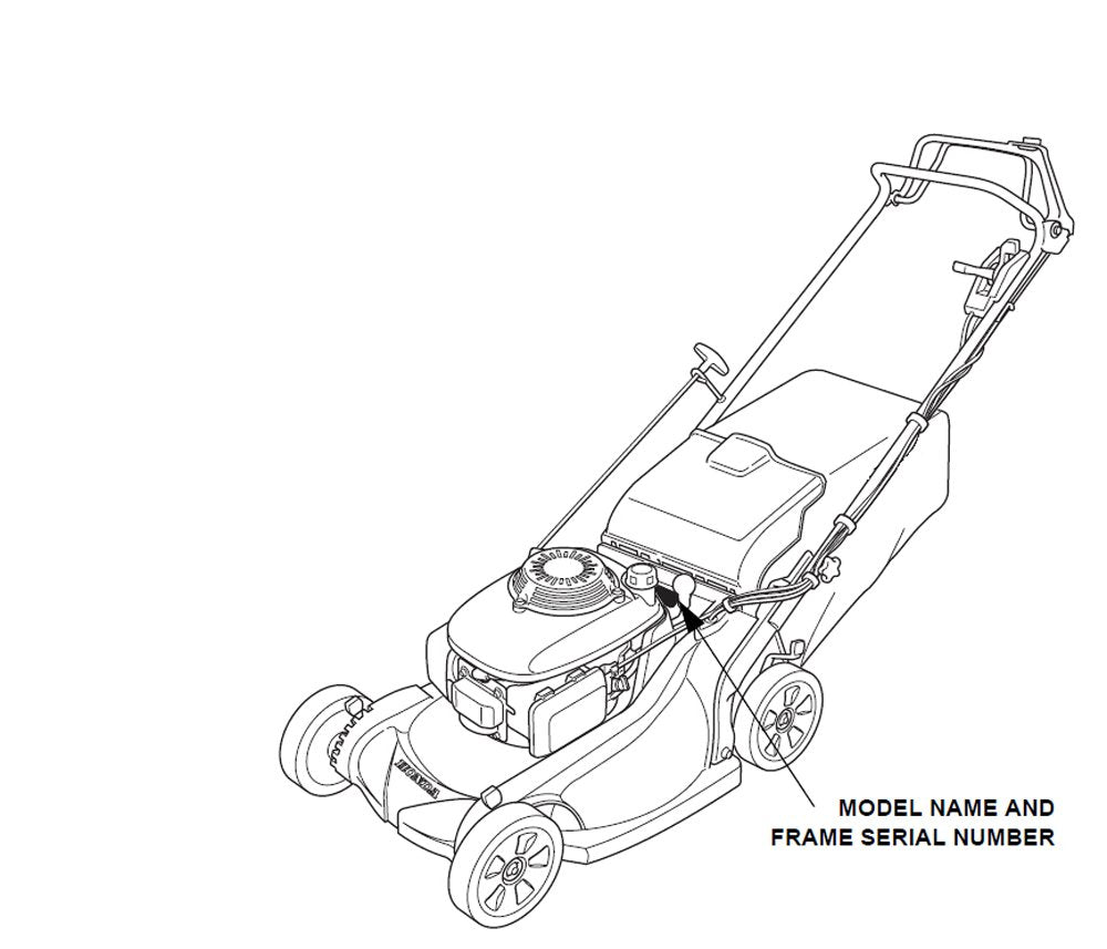 Honda correa detalle de textura y perfil en V, diseño resistente y precisión