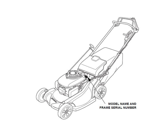 Honda correa detalle de textura y perfil en V, diseño resistente y precisión