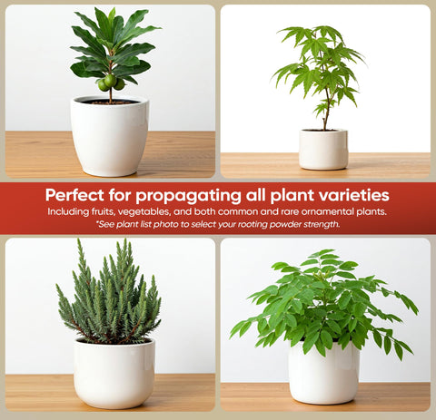 Hormex envases comparados mostrando distintas concentraciones disponibles