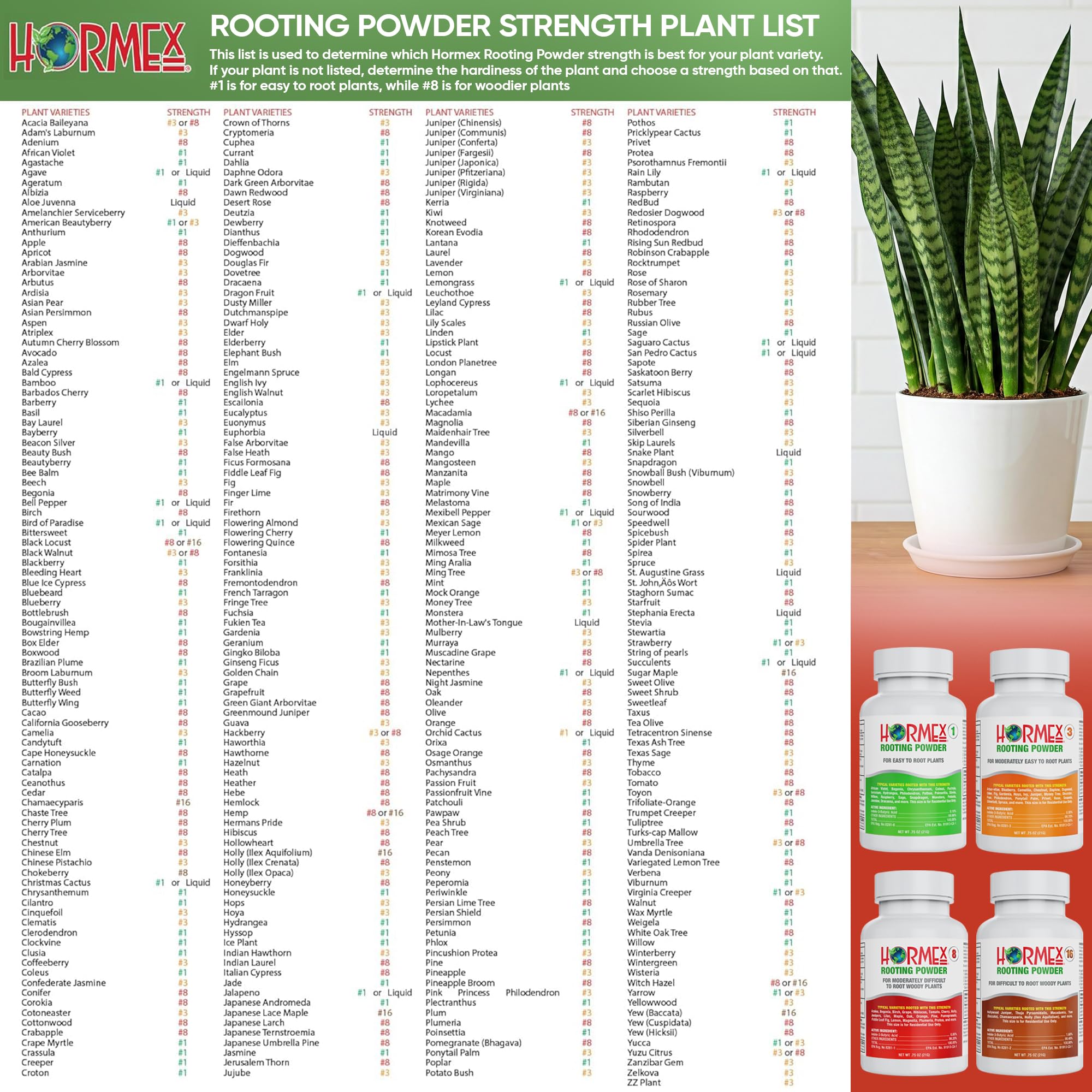Hormex etiqueta con ingredientes e instrucciones garantizando uso correcto