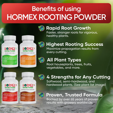 Hormex polvo textura en detalle que facilita aplicación uniforme y adherencia