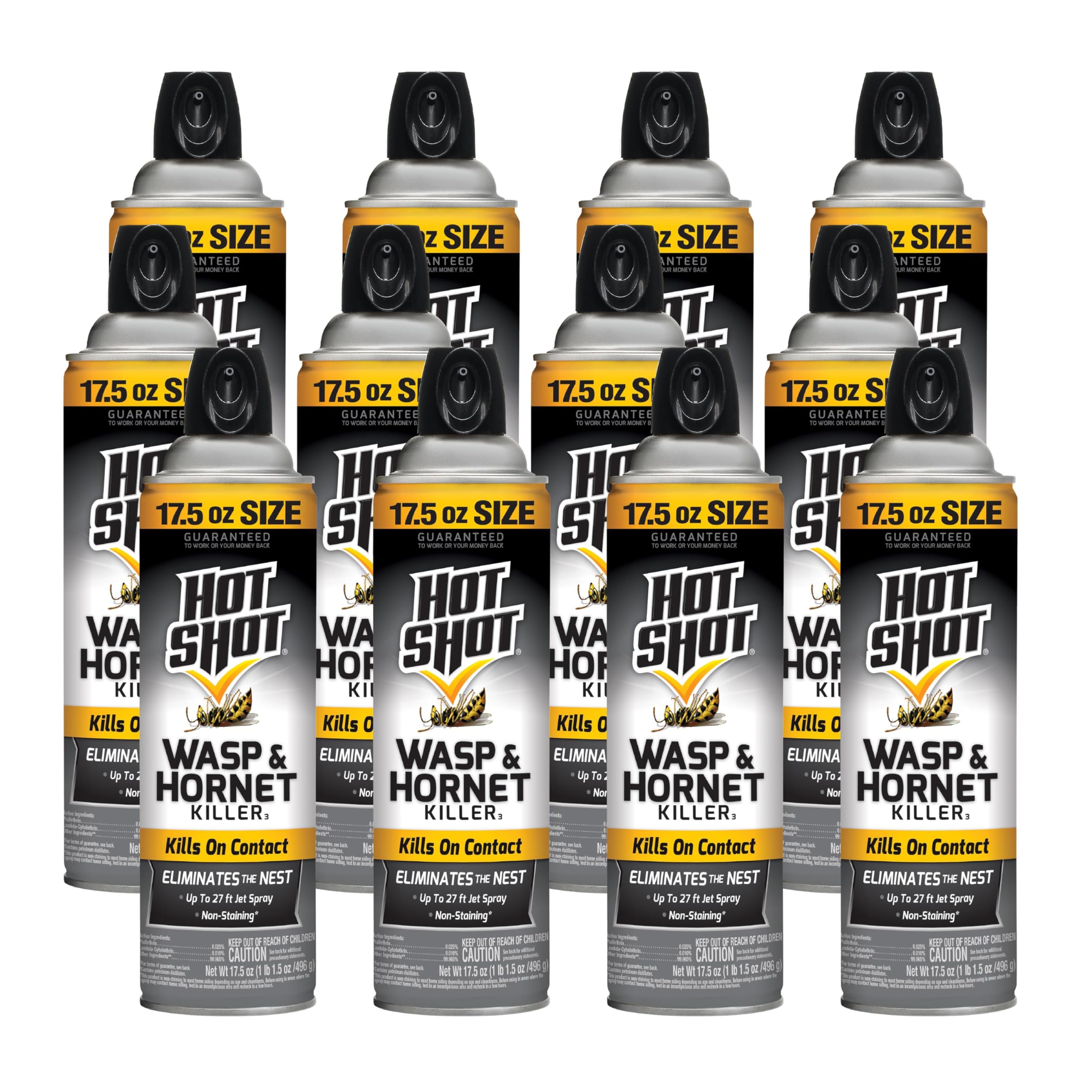 Hot Shot aerosol de frente mostrando envase y tamaño bonus para control seguro