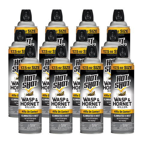 Hot Shot aerosol de frente mostrando envase y tamaño bonus para control seguro