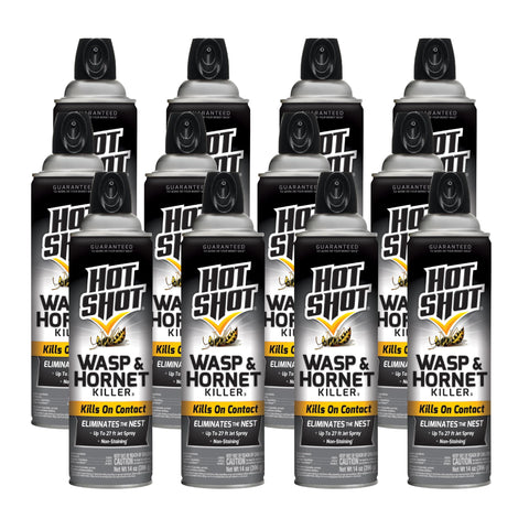 HOT SHOT envase frontal aerosol muestra diseño y uso seguro