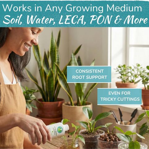 Houseplant Resource Center etiqueta con ingredientes y beneficios para plantas