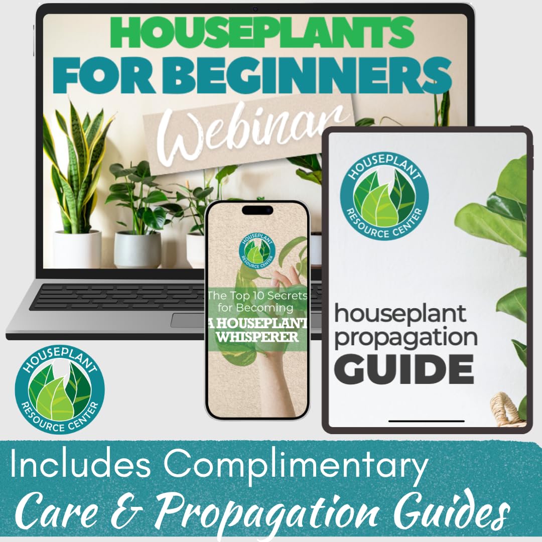 Houseplant Resource Center escena interior con plantas mostrando vigor y follaje