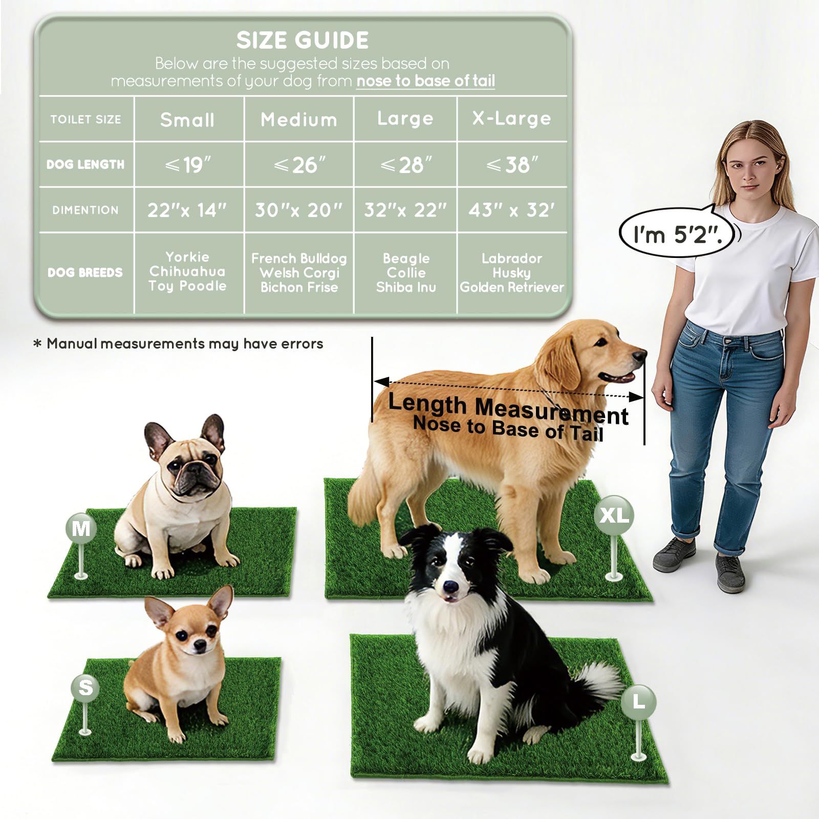 HQ4US 4LEGS ambiente de apartamento con la alfombra, solución antiolor
