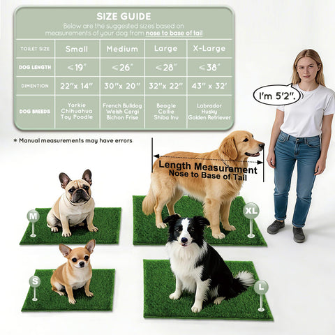 HQ4US 4LEGS ambiente de apartamento con la alfombra, solución antiolor