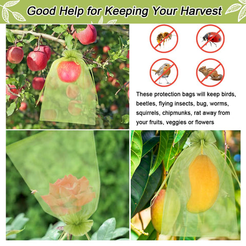 HRX Package bolsas en un huerto protegiendo fruta y facilitando la recolección