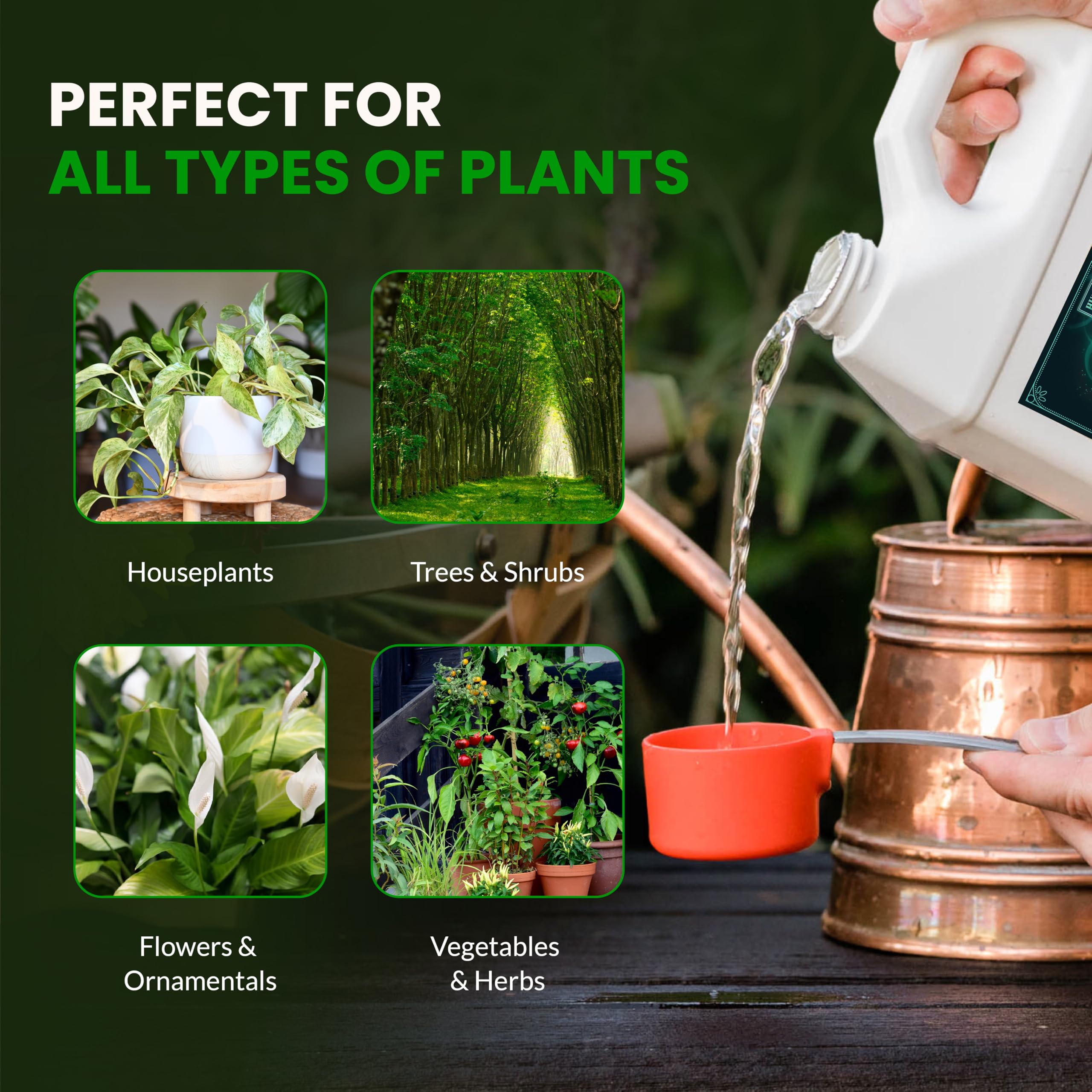 Humboldts Secret en jardín urbano promoviendo plantas sanas y vigorosas