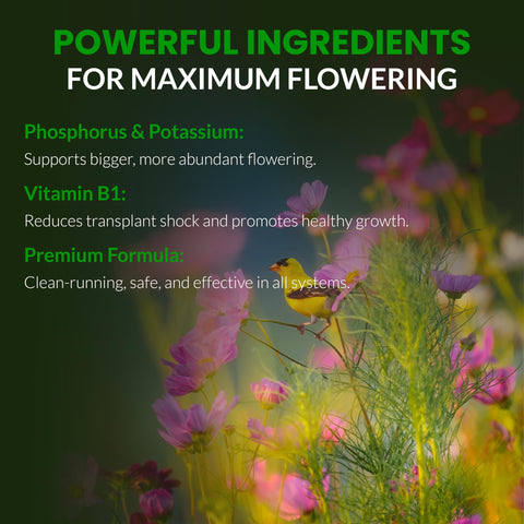 Humboldts Secret etiqueta con ingredientes y compatibilidad clara