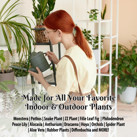 HydraGarden mezcla en maceta con Monstera favoreciendo raíces sanas