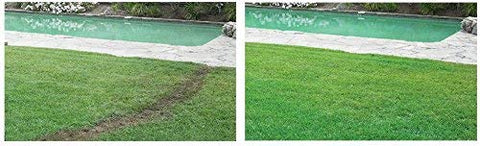 Hydro Mousse césped recuperado mostrando resultados estéticos