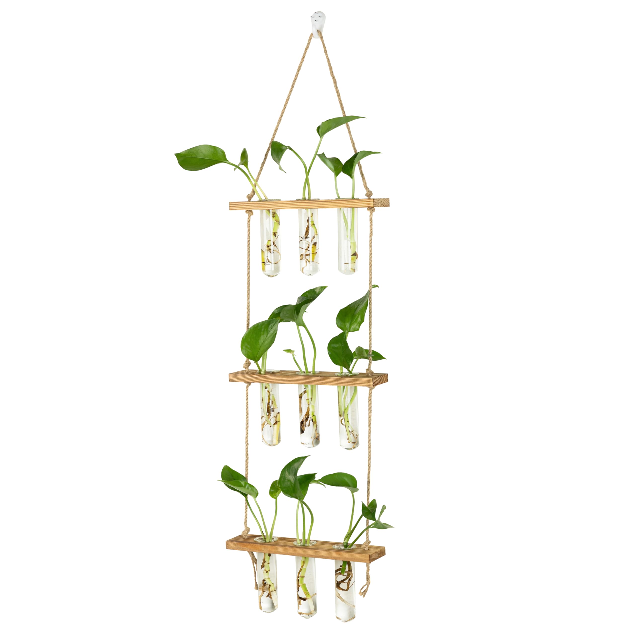 Hyindoor detalle de tubos de vidrio borosilicato, claridad para observar raíces