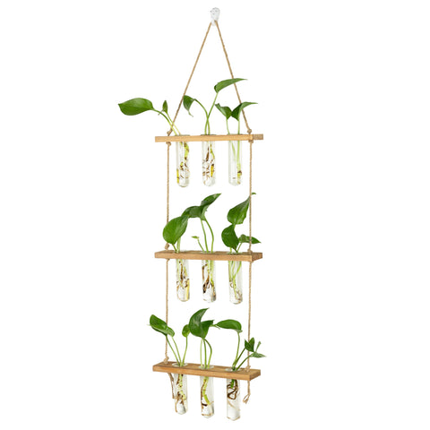 Hyindoor detalle de tubos de vidrio borosilicato, claridad para observar raíces