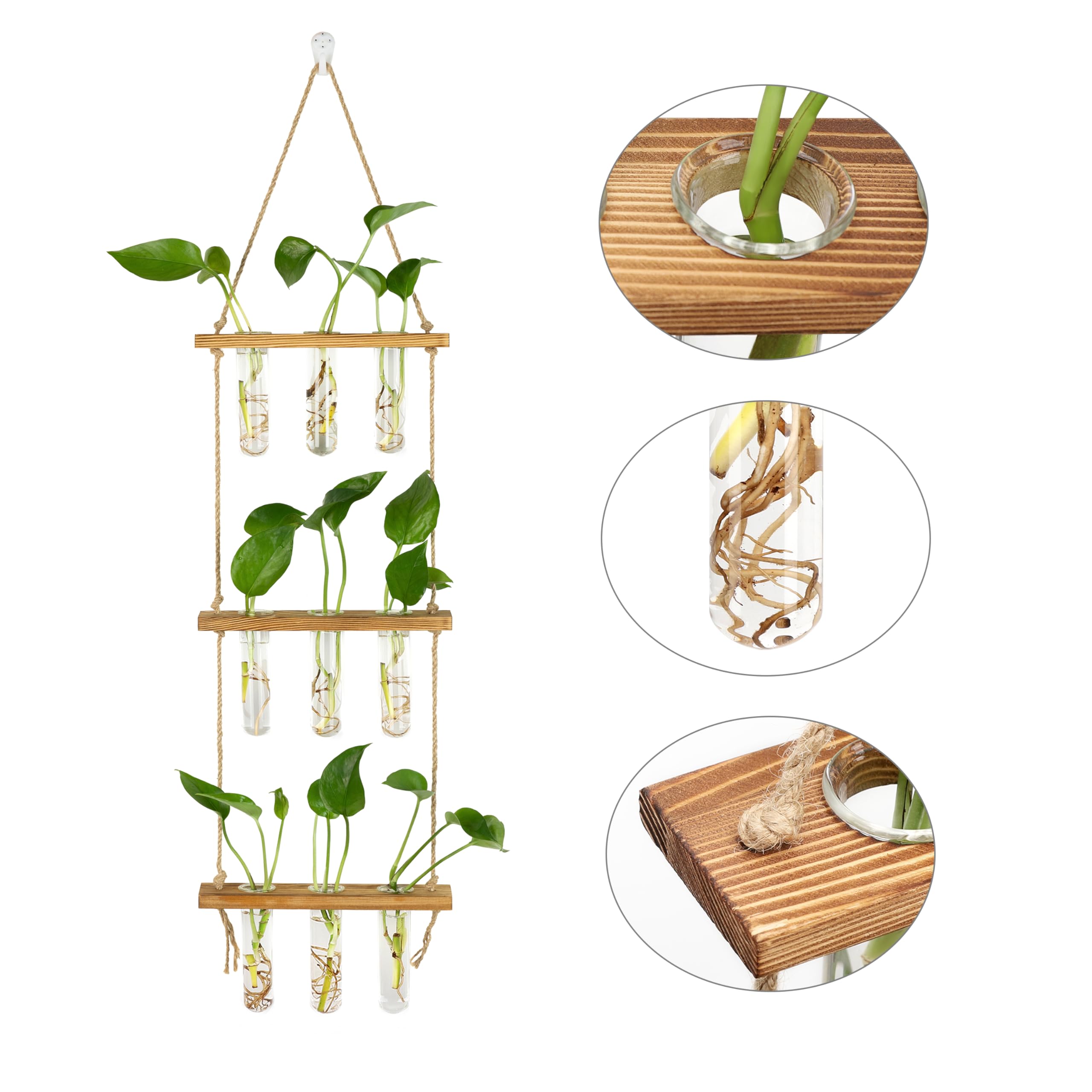 Hyindoor tubo con esqueje en agua, facilita propagación visible y control
