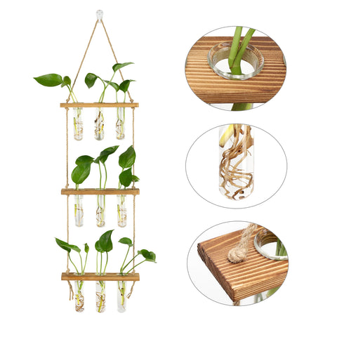 Hyindoor tubo con esqueje en agua, facilita propagación visible y control