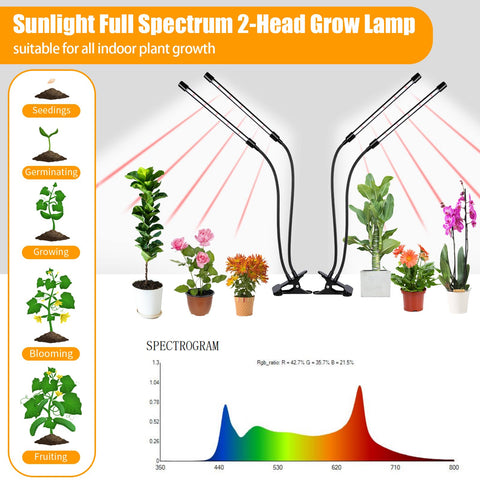 Hywyimlait closeup de LEDs que muestra espectro completo y beneficio lumínico