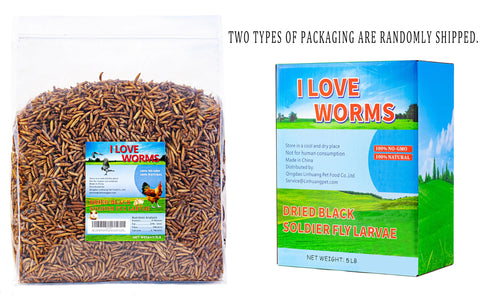I LOVE WORMS larvas en comedero para gallinas promoviendo ingesta extra