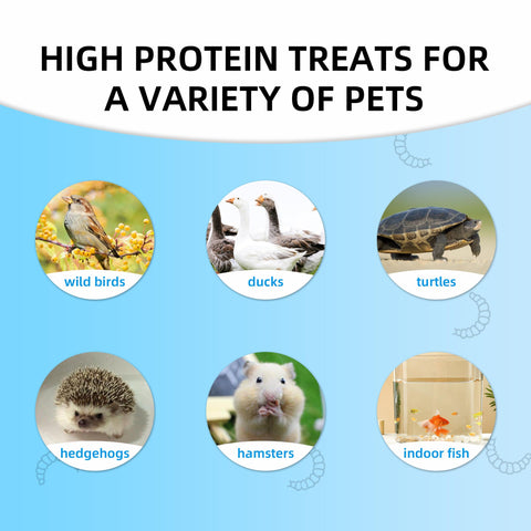 I LOVE WORMS uso en varias mascotas para suplemento proteico seguro