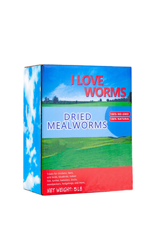 I LOVE WORMS detalle de la textura seca resaltando alta proteína