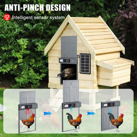 IBKINXX puerta en uso con gallinas entrando y saliendo con comodidad