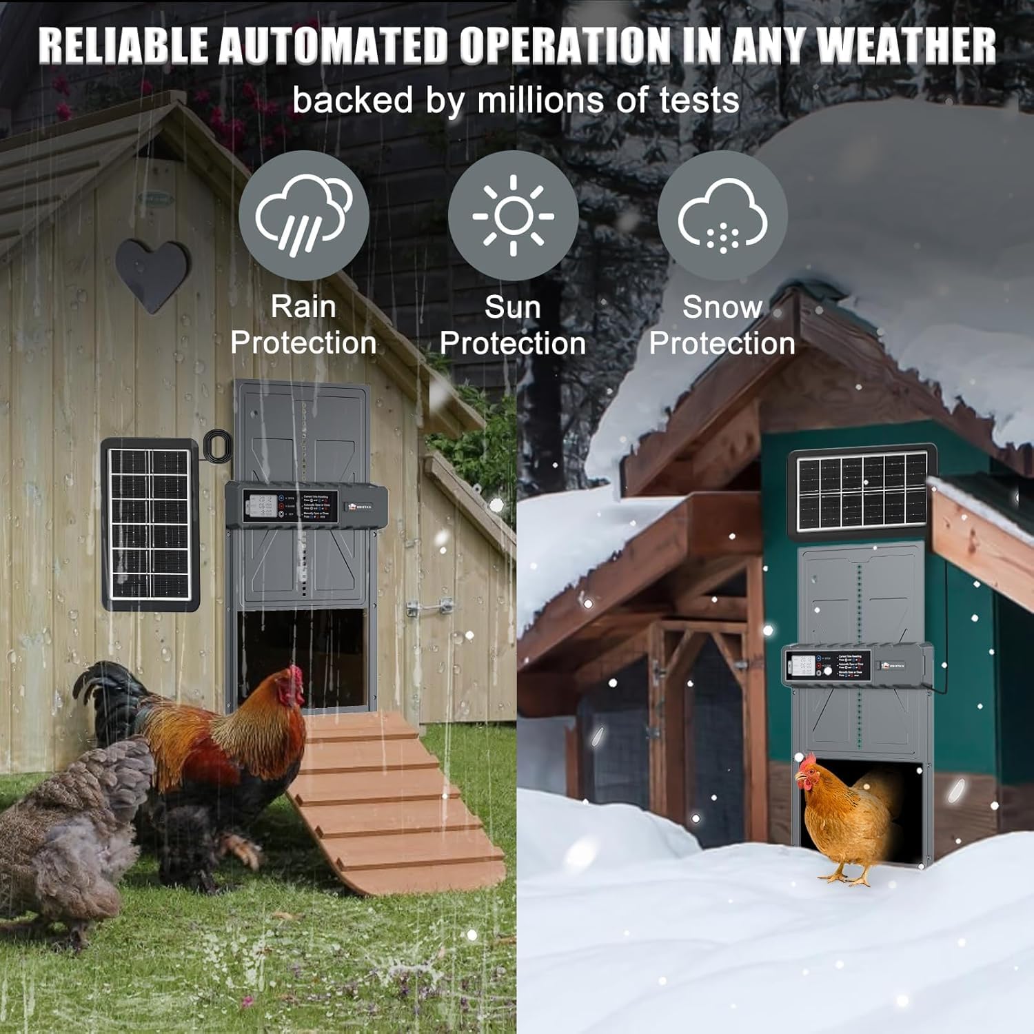 IBKINXX instalación en gallinero mostrando integración y fácil montaje